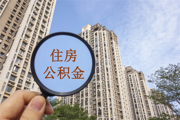 甘南哈尔滨住房公积金提取（甘南哈尔滨住房公积金提取代办）